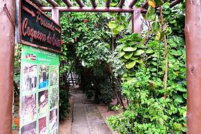 Pousada Coqueiro Do Caita