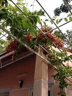 Hana Resort & Bungalow