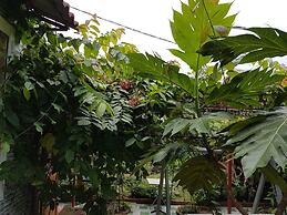 Hana Resort & Bungalow