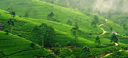 Lake View Comfort Bungalow