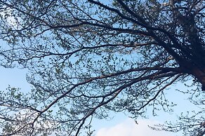 Altrove House - Hostel