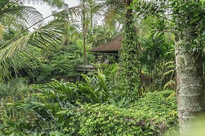Alassari Plantation