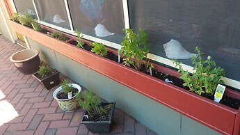 Island Guest House B&B