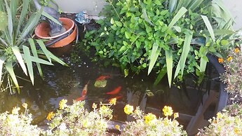 Island Guest House B&B