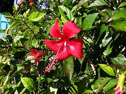 Bel Fle Missions Hotel