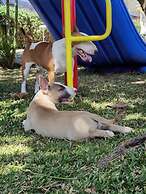 Hotel Bristol Aeropuerto