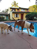 Hotel Bristol Aeropuerto