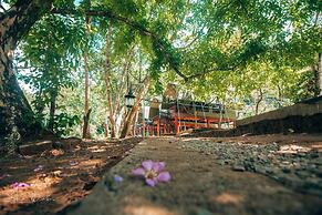 360 Rainforest