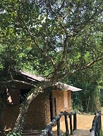 360 Rainforest