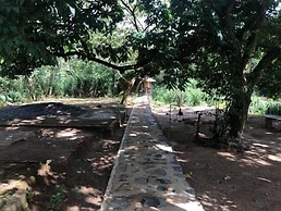 360 Rainforest