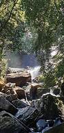 360 Rainforest