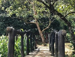 360 Rainforest