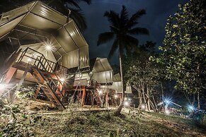 360 Rainforest