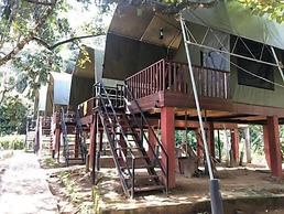 360 Rainforest