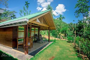 360 Rainforest