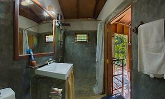 360 Rainforest