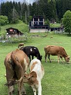 Ayder Villa de Pelit Hotel