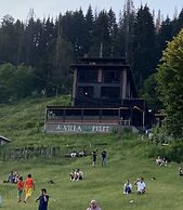 Ayder Villa de Pelit Hotel