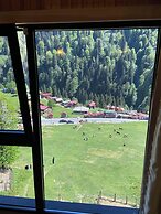 Ayder Villa de Pelit Hotel