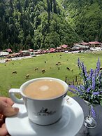 Ayder Villa de Pelit Hotel