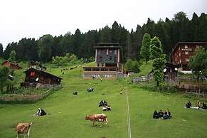 Ayder Villa de Pelit Hotel