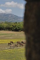 Pozzo di Mastri