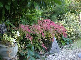 La Casita con jardín frente a la cascada