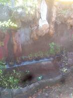 CVNB Bed and Bath La Union