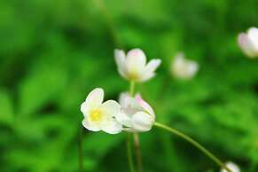 Kamikouchi Hotel SHIRAKABASO