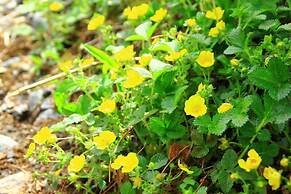 Kamikouchi Hotel SHIRAKABASO