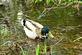 Kamikouchi Hotel SHIRAKABASO