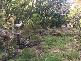 Saint Jorge Farm and Bungalows