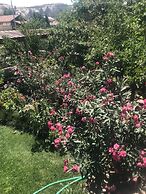 Family Cave Suites Hotel