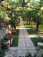 Podere don Peppe 1884