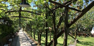 Podere don Peppe 1884