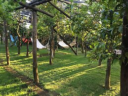 Podere don Peppe 1884