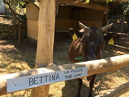 Podere don Peppe 1884