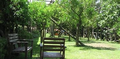 Podere don Peppe 1884