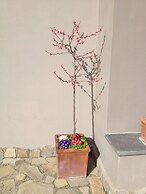 Podere don Peppe 1884