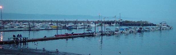 Curley's Resort & Dive Center