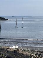 Curley's Resort & Dive Center