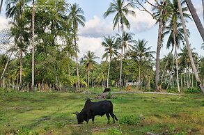 Talardkao Balcony Krabi - Hostel