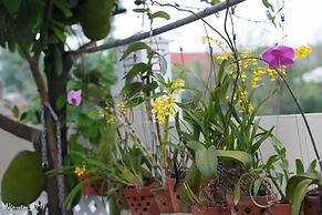 Gia Lam Villa Hoi An