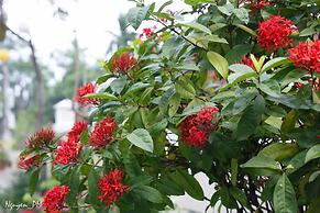 Gia Lam Villa Hoi An