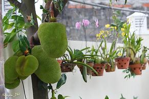 Gia Lam Villa Hoi An