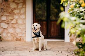 Agroturismo Can Guillem