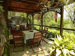 Hotel Silvana Garnì