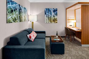 SpringHill Suites by Marriott Kansas City Lenexa City Center