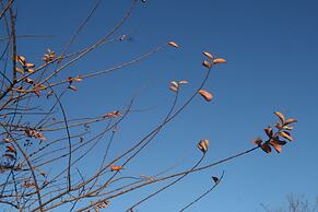 Recanto do Encanto Eco Beach Stay