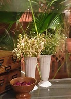 Ranjit's SVAASA Amritsar